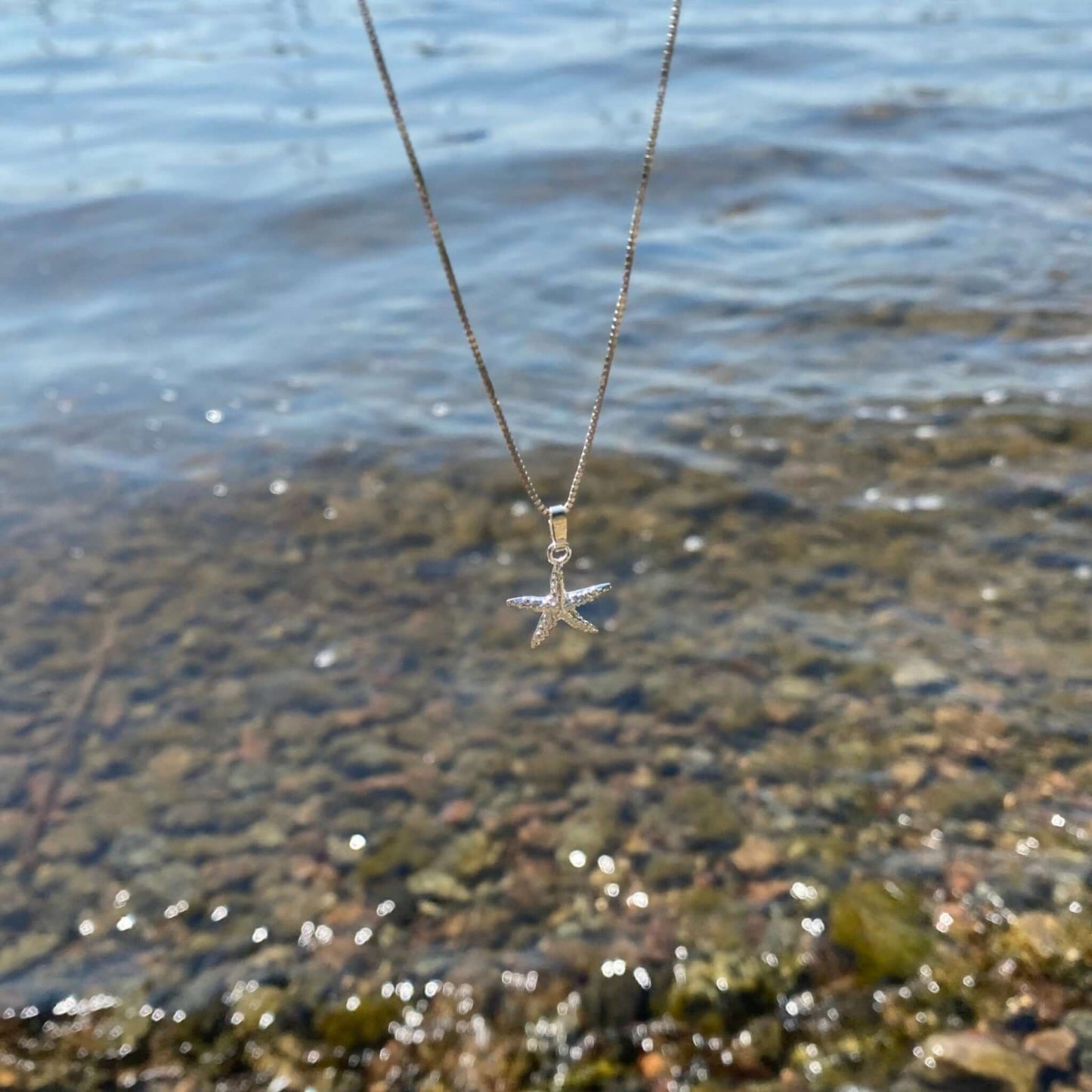 Sjöstjärna Hänge I Silver