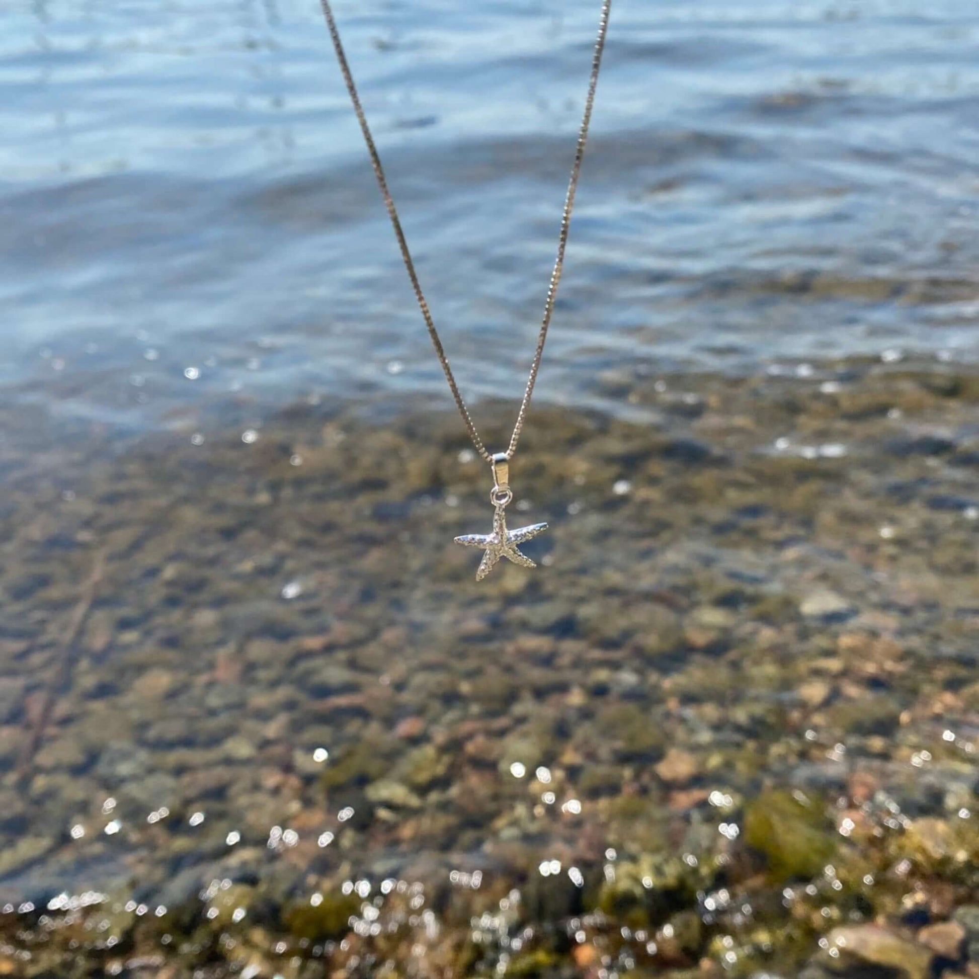 Sjöstjärna Hänge I Silver